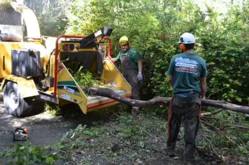 tree services Frontenac